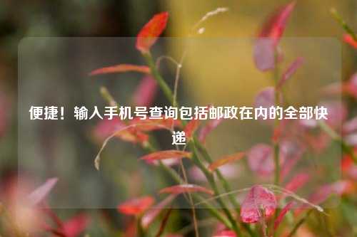 便捷！输入手机号查询包括邮政在内的全部快递