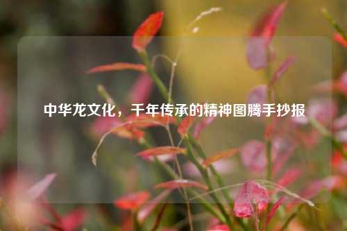 中华龙文化，千年传承的精神图腾手抄报