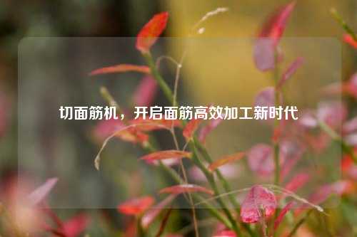 切面筋机，开启面筋高效加工新时代