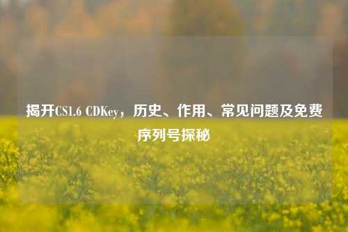 揭开CS1.6 CDKey，历史、作用、常见问题及免费序列号探秘