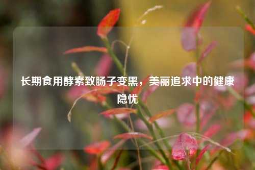 长期食用酵素致肠子变黑，美丽追求中的健康隐忧