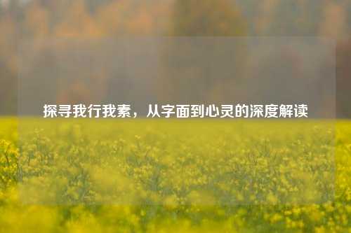 探寻我行我素，从字面到心灵的深度解读