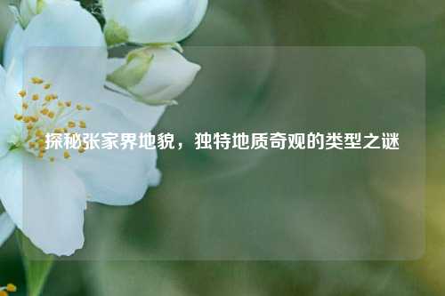 探秘张家界地貌，独特地质奇观的类型之谜