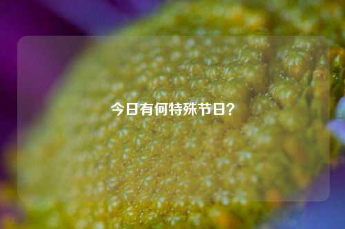 今日有何特殊节日？