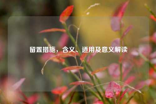 留置措施，含义、适用及意义解读