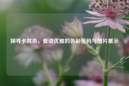 探寻卡其色，低调优雅的色彩密码与图片展示
