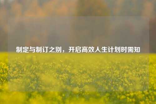 制定与制订之别，开启高效人生计划时需知