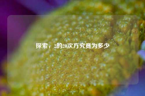 探索，2的20次方究竟为多少