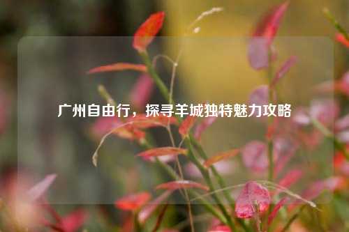 广州自由行，探寻羊城独特魅力攻略
