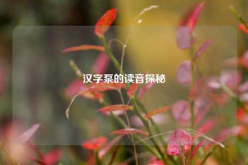 汉字泵的读音探秘