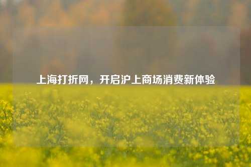 上海打折网，开启沪上商场消费新体验