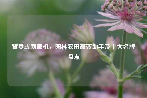 背负式割草机，园林农田高效助手及十大名牌盘点