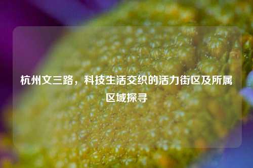 杭州文三路，科技生活交织的活力街区及所属区域探寻