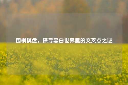 围棋棋盘，探寻黑白世界里的交叉点之谜