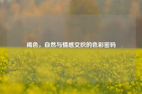 褐色,自然与情感交织的色彩密码