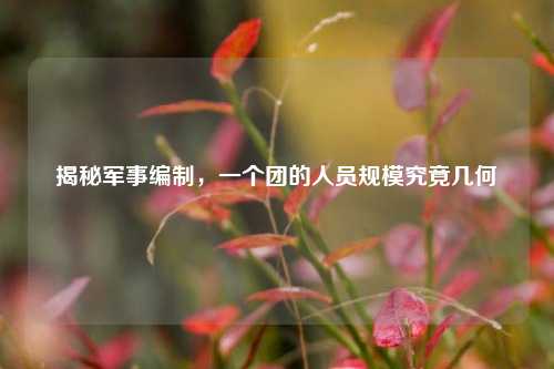 揭秘军事编制，一个团的人员规模究竟几何