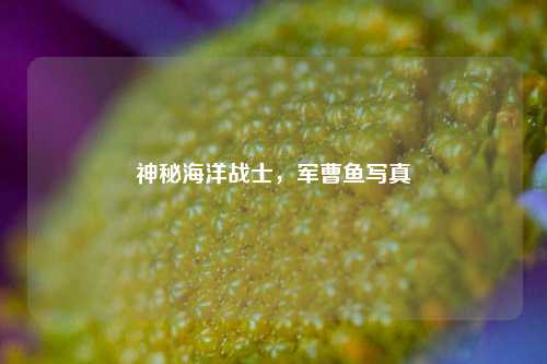 神秘海洋战士，军曹鱼     
