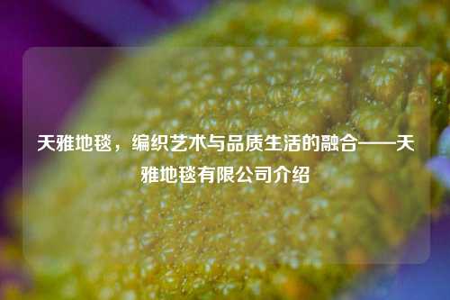 天雅地毯，编织艺术与品质生活的融合——天雅地毯有限公司介绍