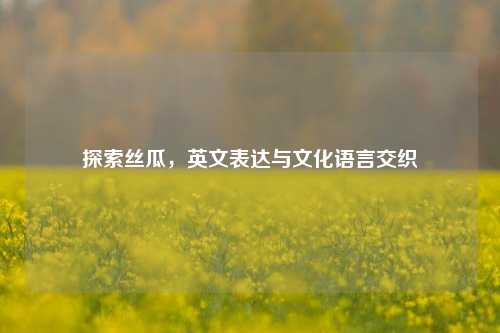 探索丝瓜，英文表达与文化语言交织