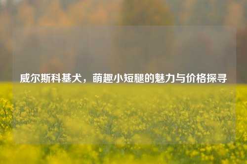 威尔斯科基犬，萌趣小短腿的魅力与价格探寻