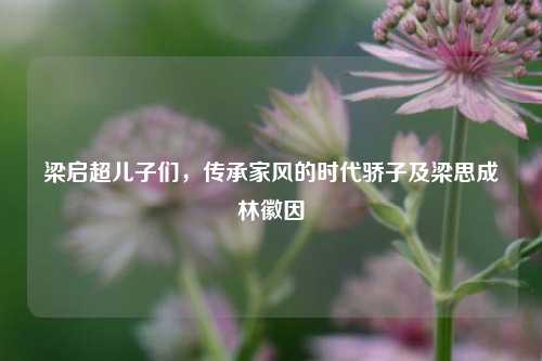 梁启超儿子们，传承家风的时代骄子及梁思成林徽因