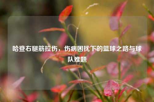 哈登右腿筋拉伤，伤病困扰下的篮球之路与球队难题