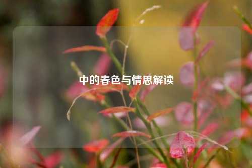 中的春色与情思解读