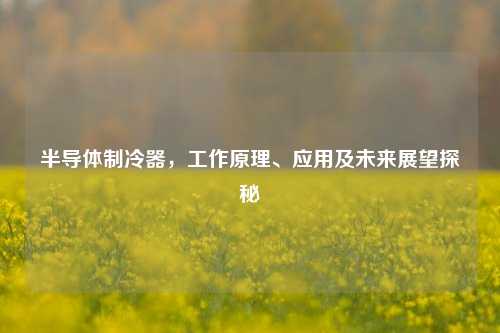半导体制冷器，工作原理、应用及未来展望探秘