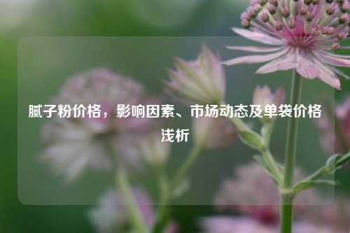 腻子粉价格，影响因素、市场动态及单袋价格浅析
