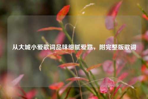 从大城小爱歌词品味细腻爱意，附完整版歌词