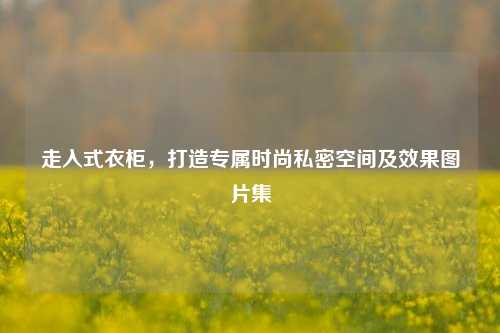 走入式衣柜，打造专属时尚私密空间及效果图片集