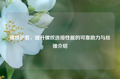 螺纹护套，提升螺纹连接性能的可靠助力与丝锥介绍